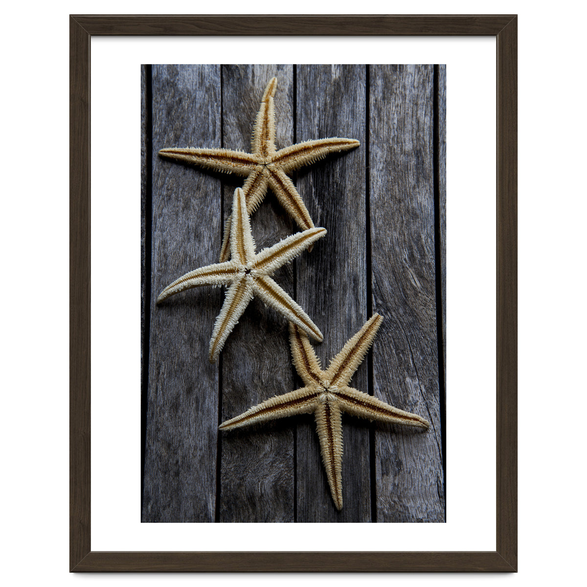 Starfishes in wooden