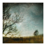 The Tree That Whispered (Print Only) thumbnail