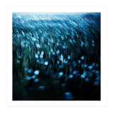 dandelion meadow (Print Only) thumbnail