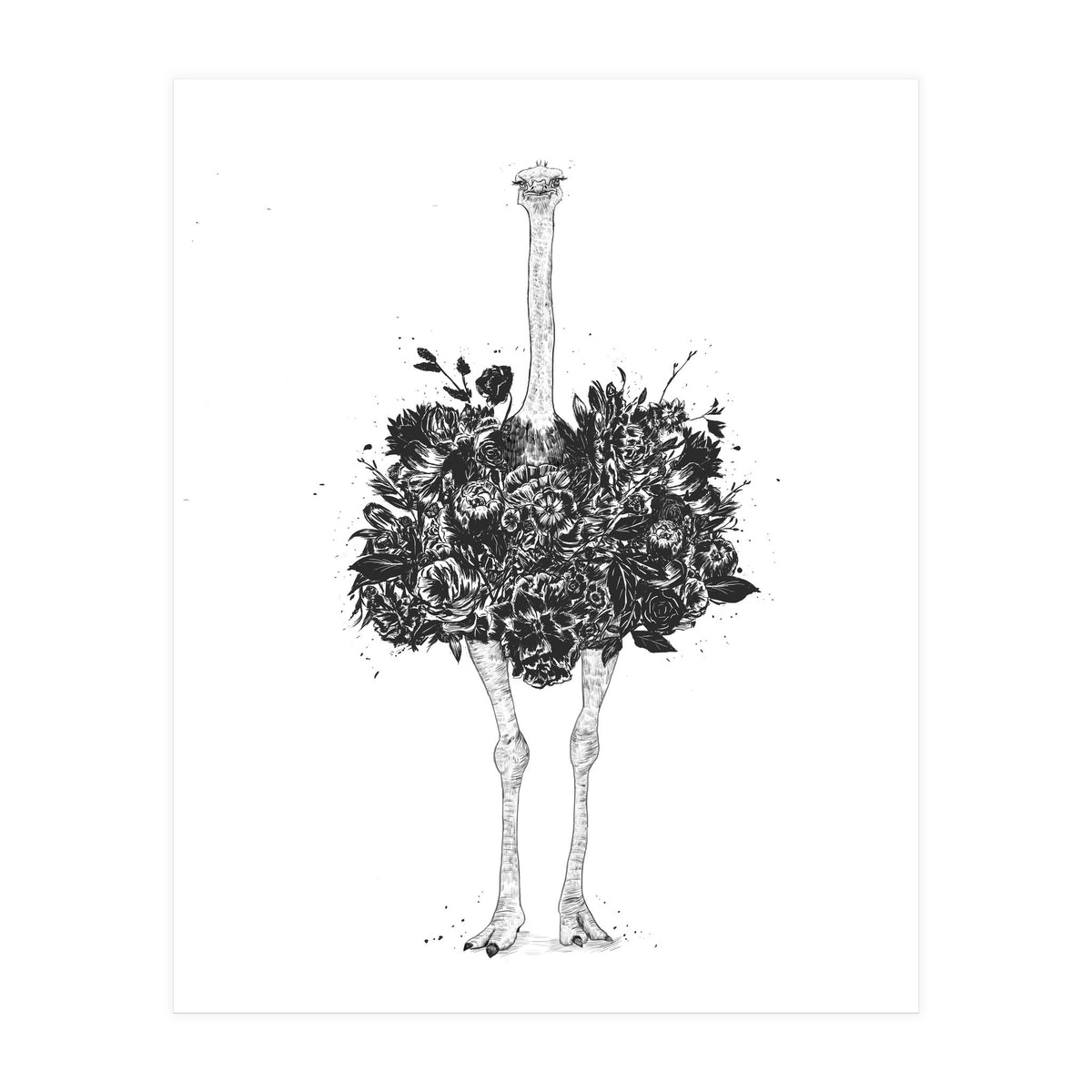 Floral Ostrich (Print Only)