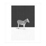 CAMOUFLAGE (Print Only) thumbnail