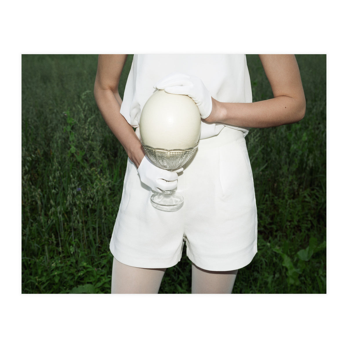 Dinosaur Inside (Print Only)