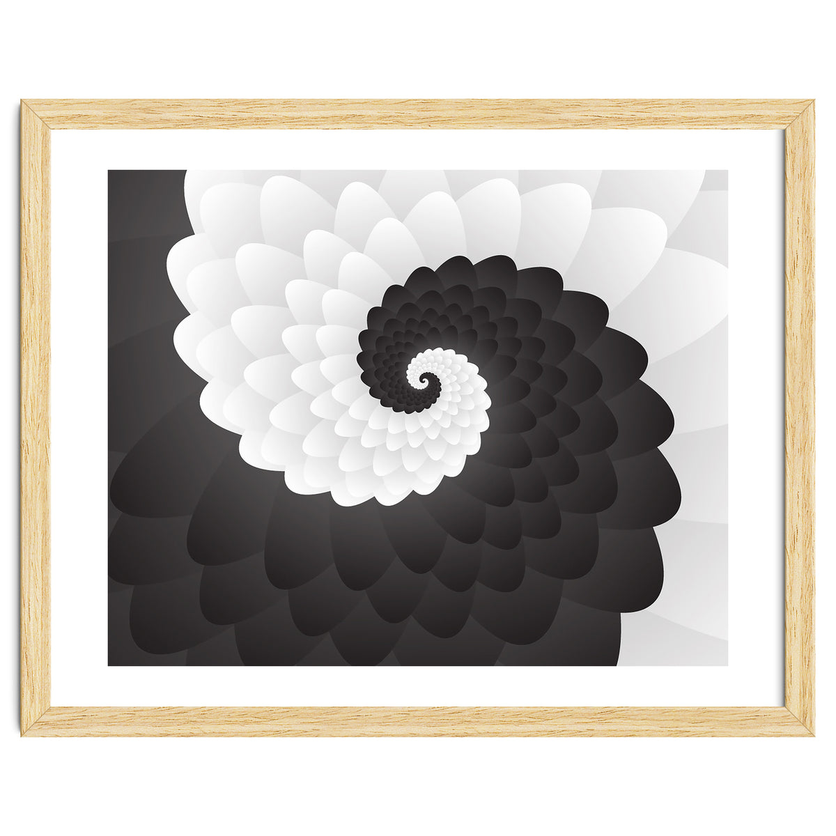 Mono Chrome Spiral Pattern