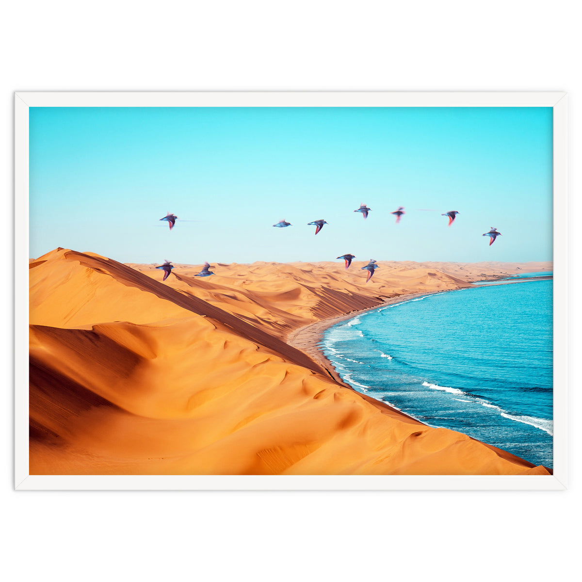 Desert Birds