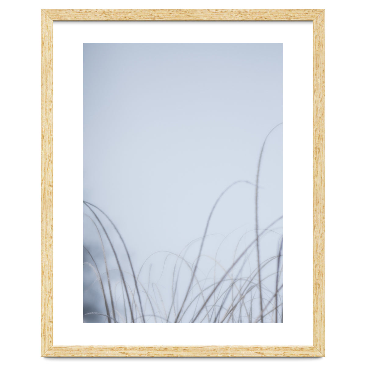 Forgotten Memories of Summer #20