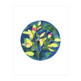 Winter Eucalyptus  (Print Only) thumbnail