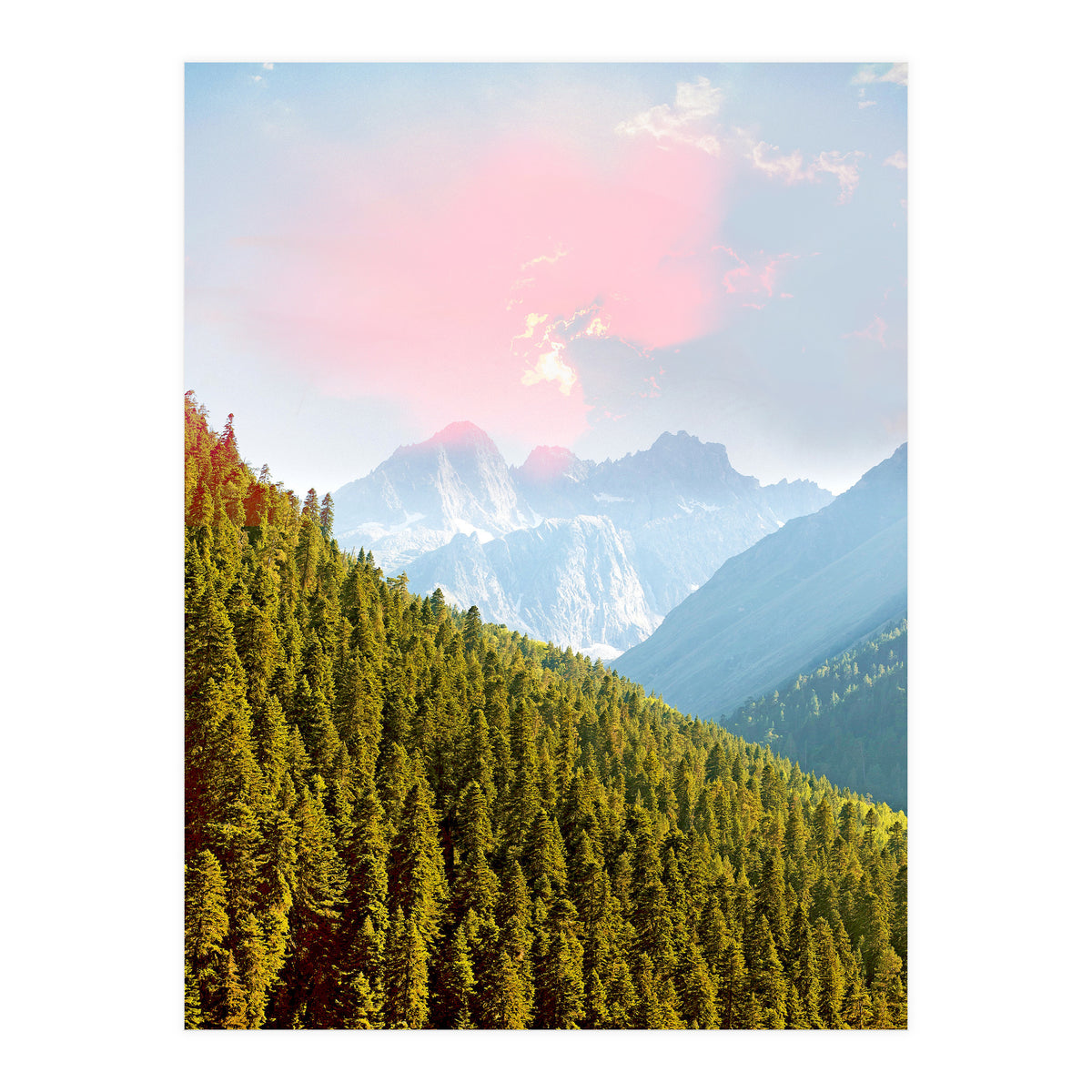 Evergreen (Print Only)