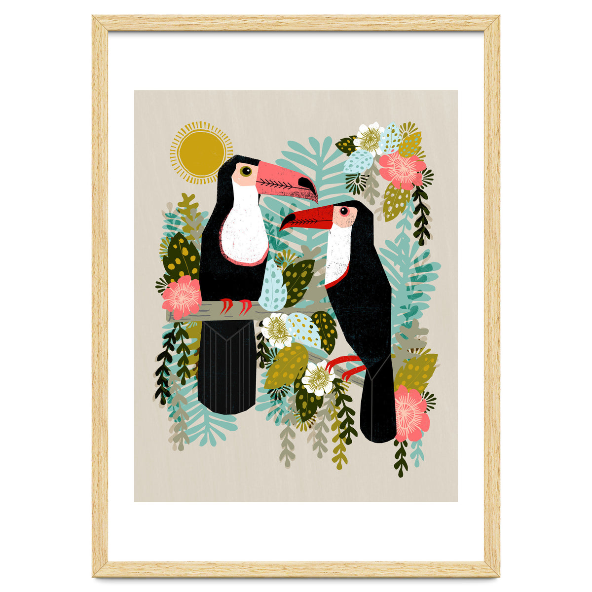 Toucans
