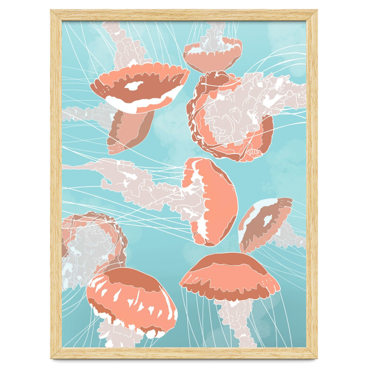 Jellyfish