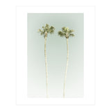 Vintage Palm Trees  (Print Only) thumbnail