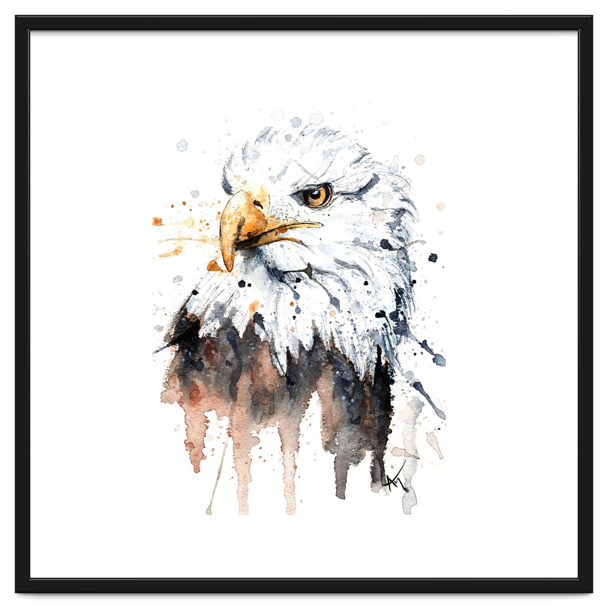 Bald Eagle - Wildlife Collection