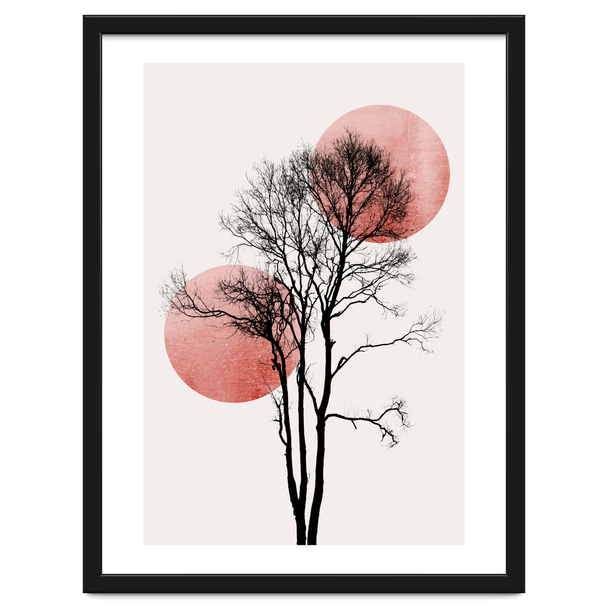 Sun And Moon Hiding Rosè