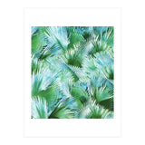 Palm Dreamer (Print Only) thumbnail