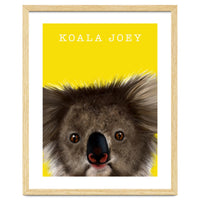 Koala Joey