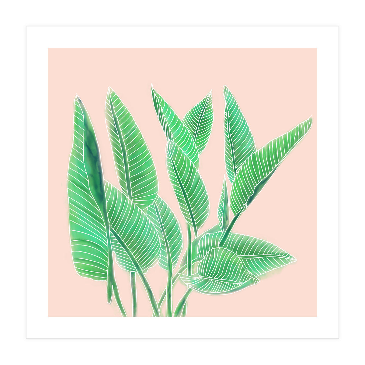 Modern Hand Painted Tropical Green Watercolor Leaf Bird Of Paradise On Pastel Pink (Print Only)
