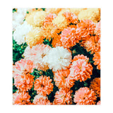 Garden Song (Print Only) thumbnail