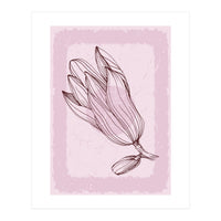 Magnolia - Minimalist Garden Leaves (Print Only)
