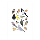 UK Birds in Glasses (Print Only) thumbnail