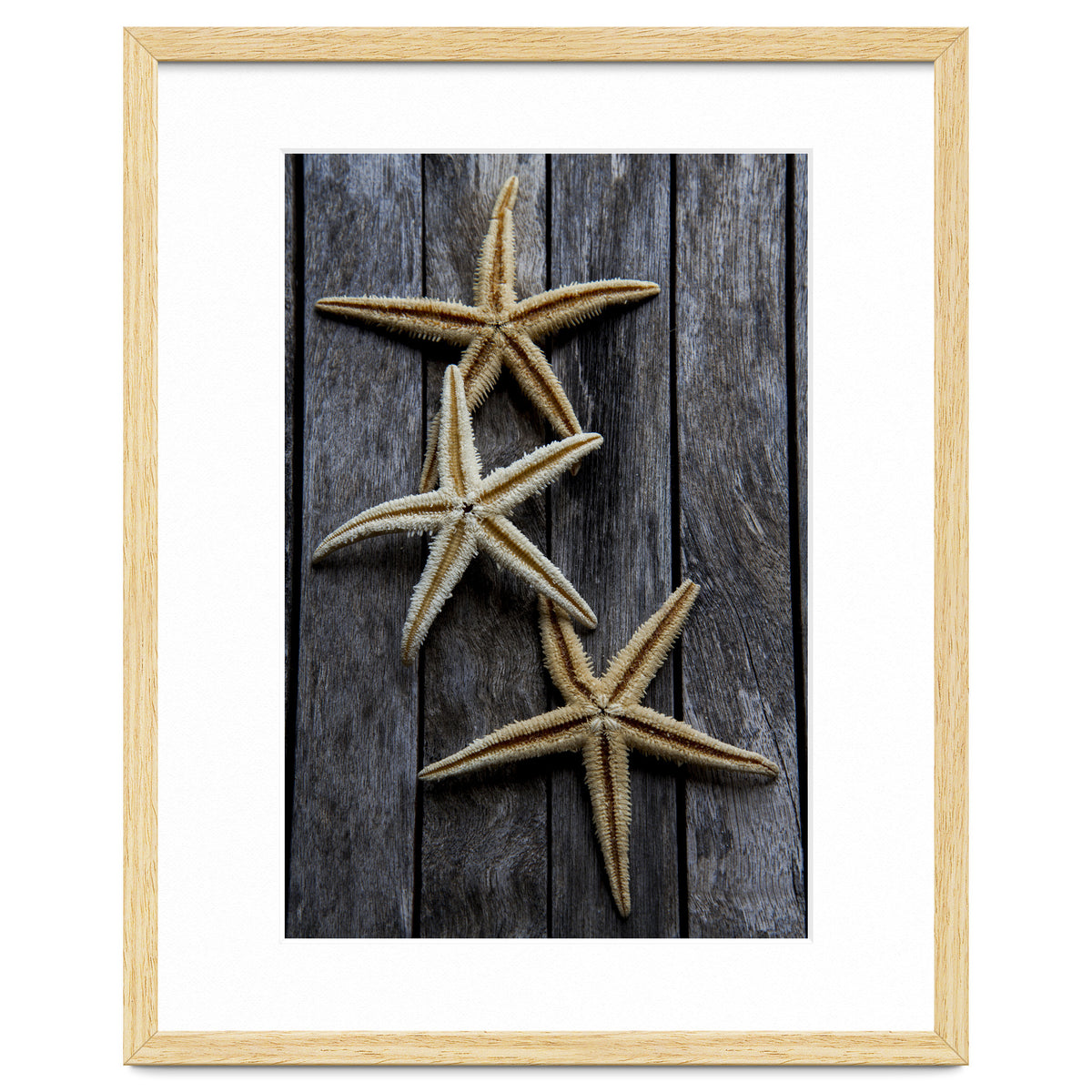 Starfishes in wooden