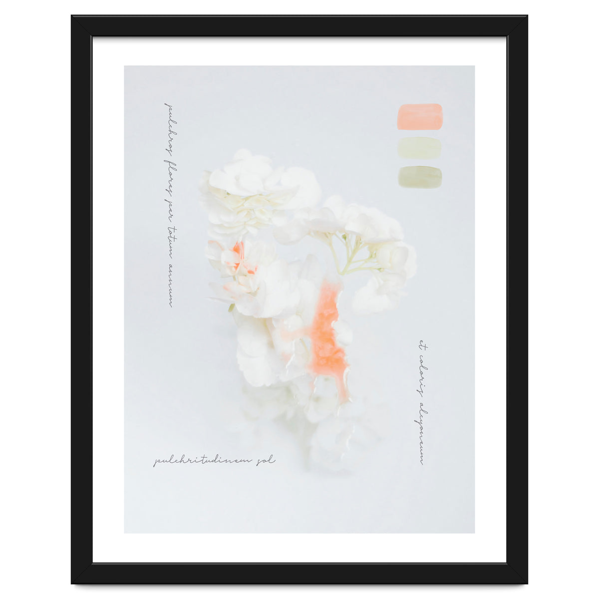 Modern Vintage Botanic