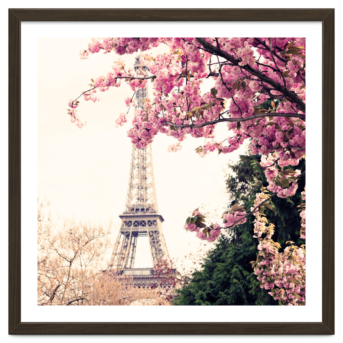 Paris in the Spring