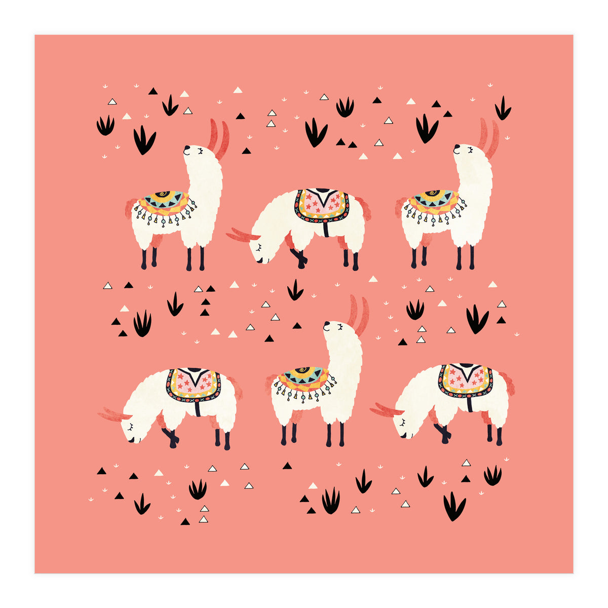 White Llamas In Pink Desert (Print Only)