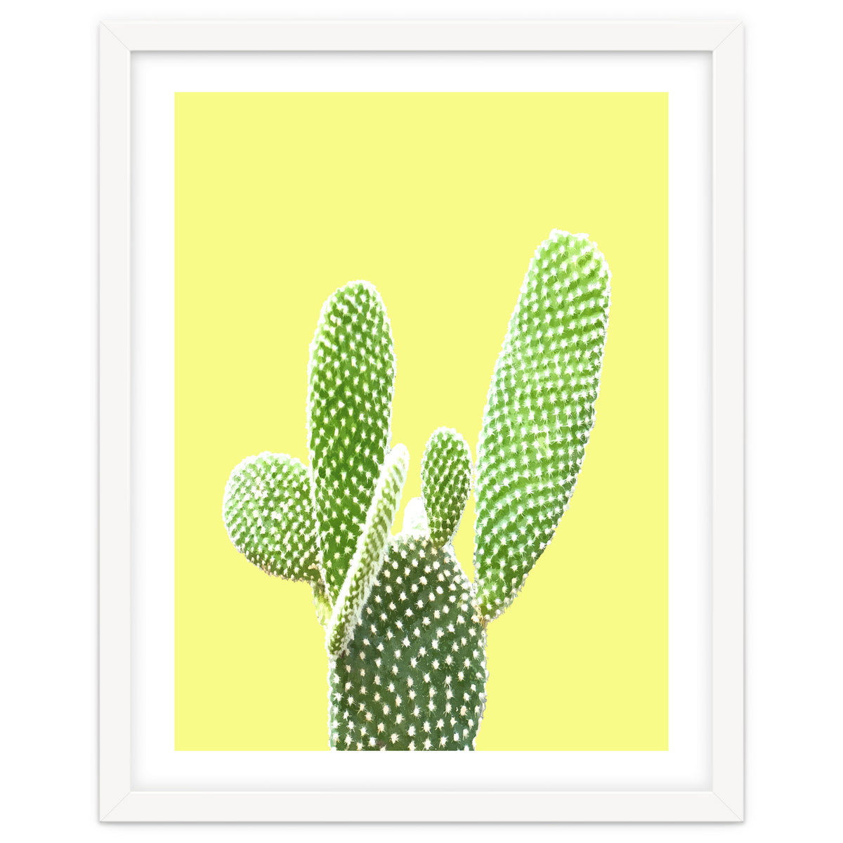 Cactus Yellow Background
