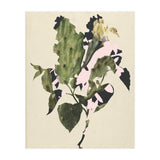 The First Plant · E3 (Print Only) thumbnail