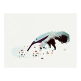 Anteater (Print Only) thumbnail