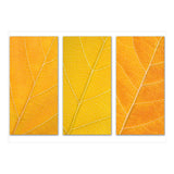 Autumn Leaves (Print Only) thumbnail