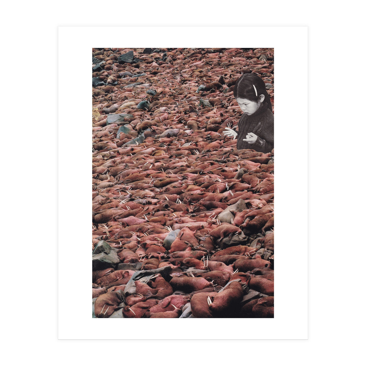 Counting Walrus (Print Only)
