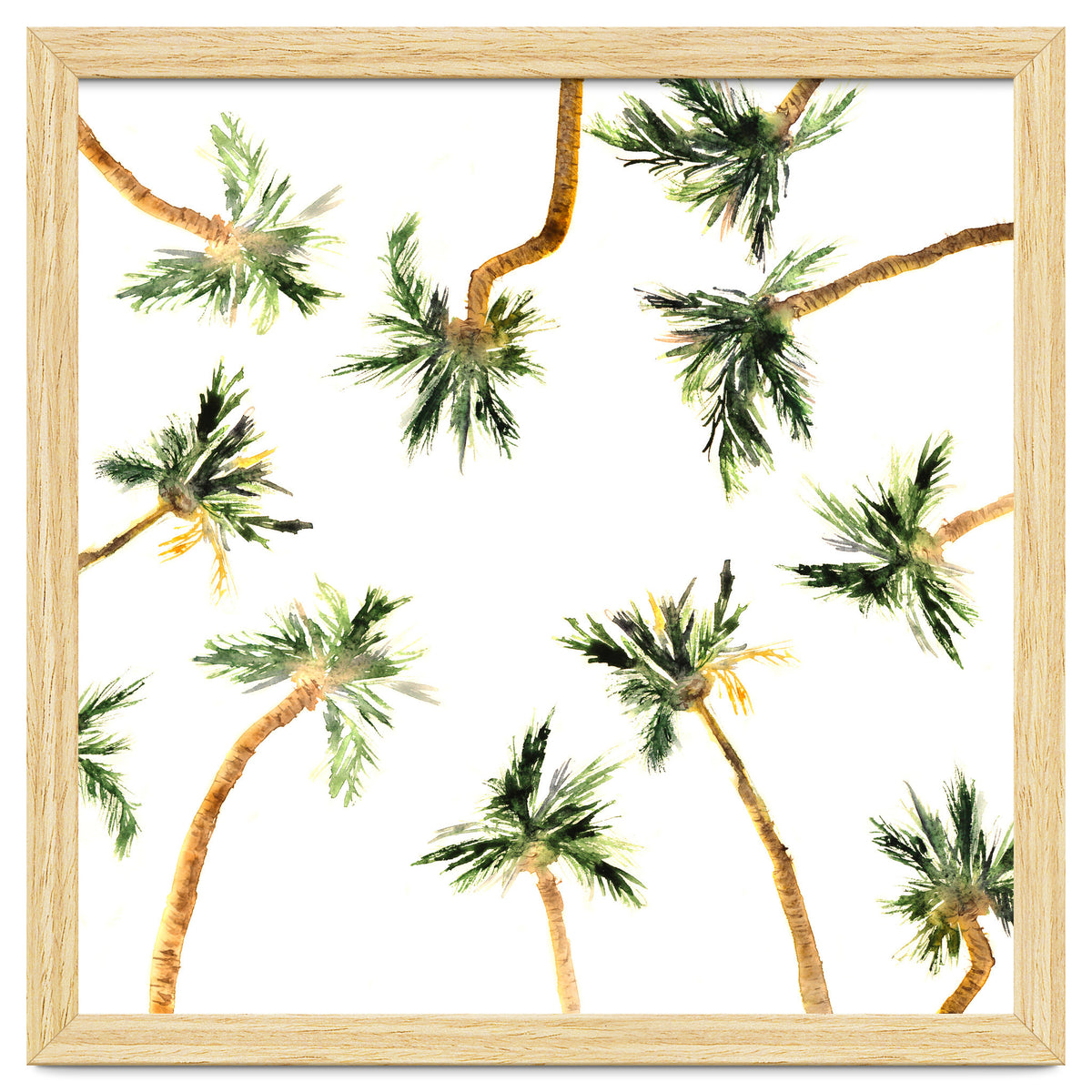 Under the coconut palms || watercolor