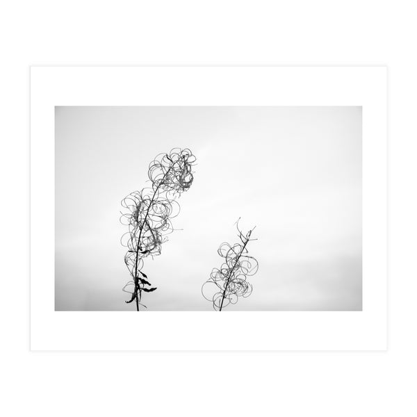 maybe (Print Only)