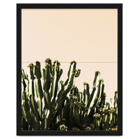 Cactus Vertical Color