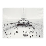 Oculus (Print Only) thumbnail