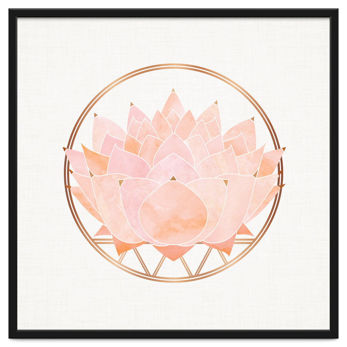 Peach Succulent  Blossom