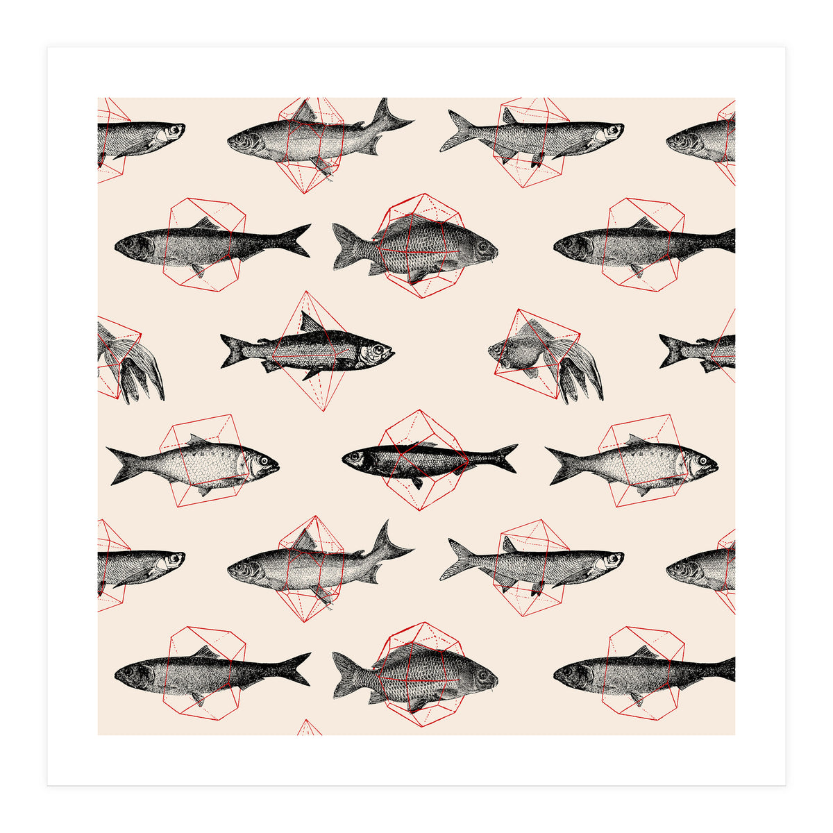 Fish In Geometrics  (Print Only)