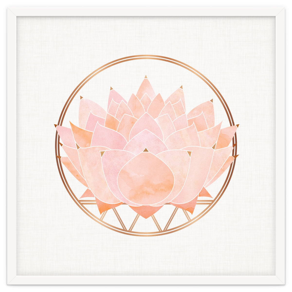 Peach Succulent  Blossom