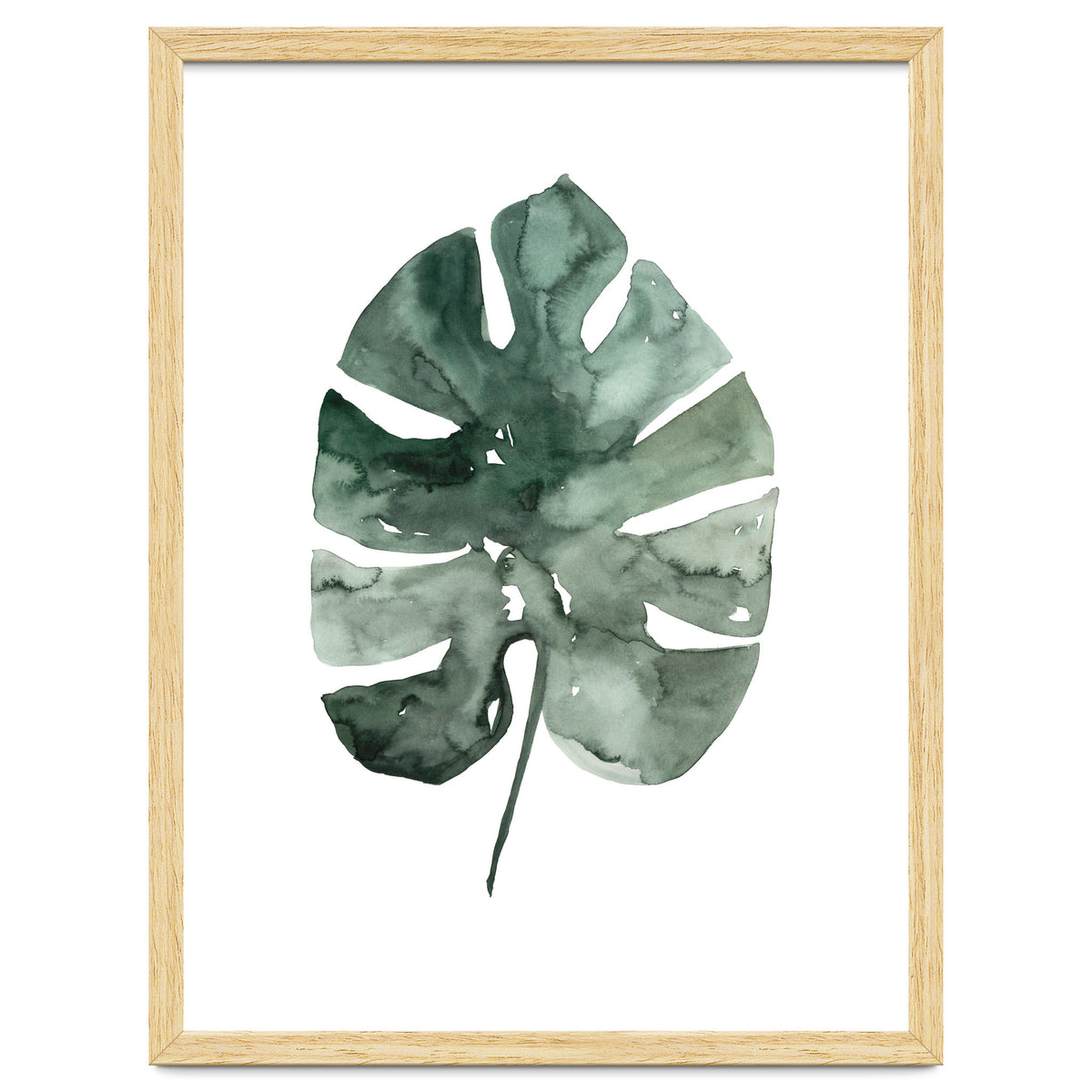 Botanical Illustration Monstera Leaf