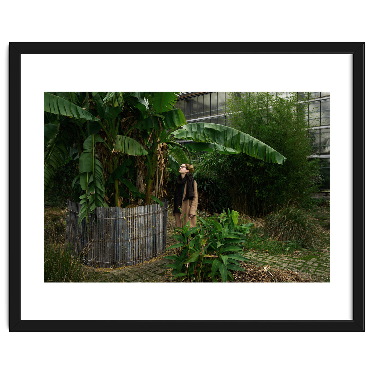 Transition from Summer to Winter