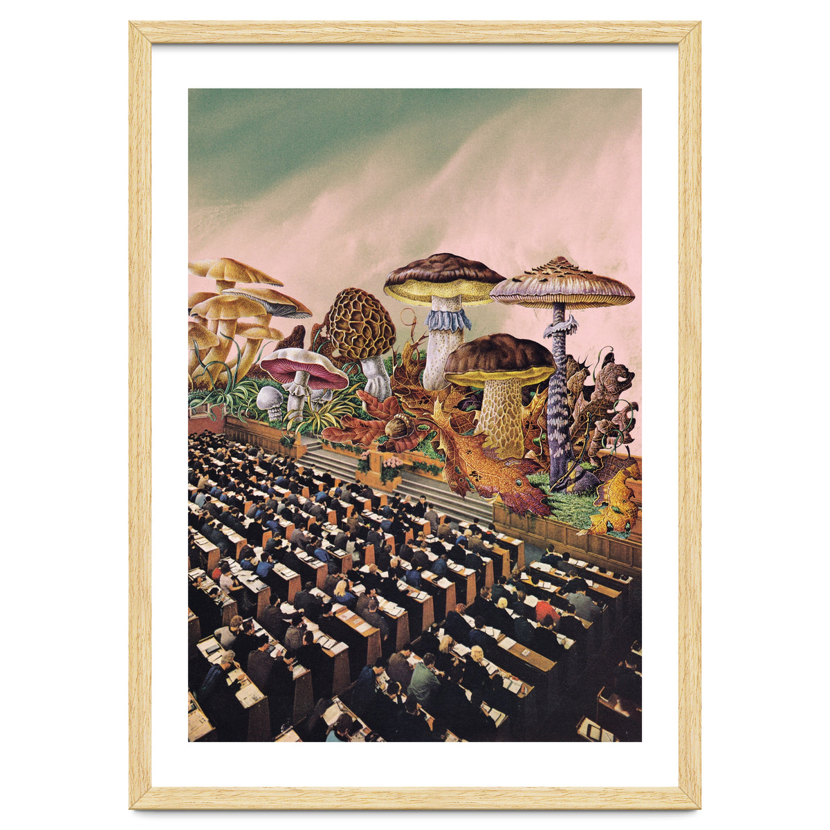 Psychedelic Experience