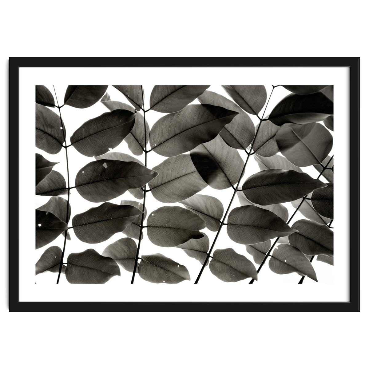 Branches and Leaves I