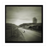Gesto (Print Only) thumbnail