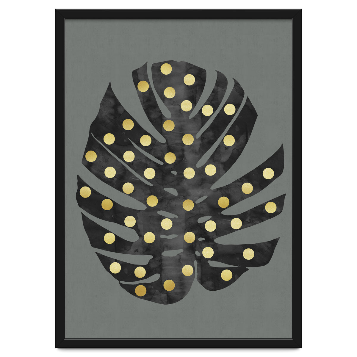 Monstera Deliciosa V