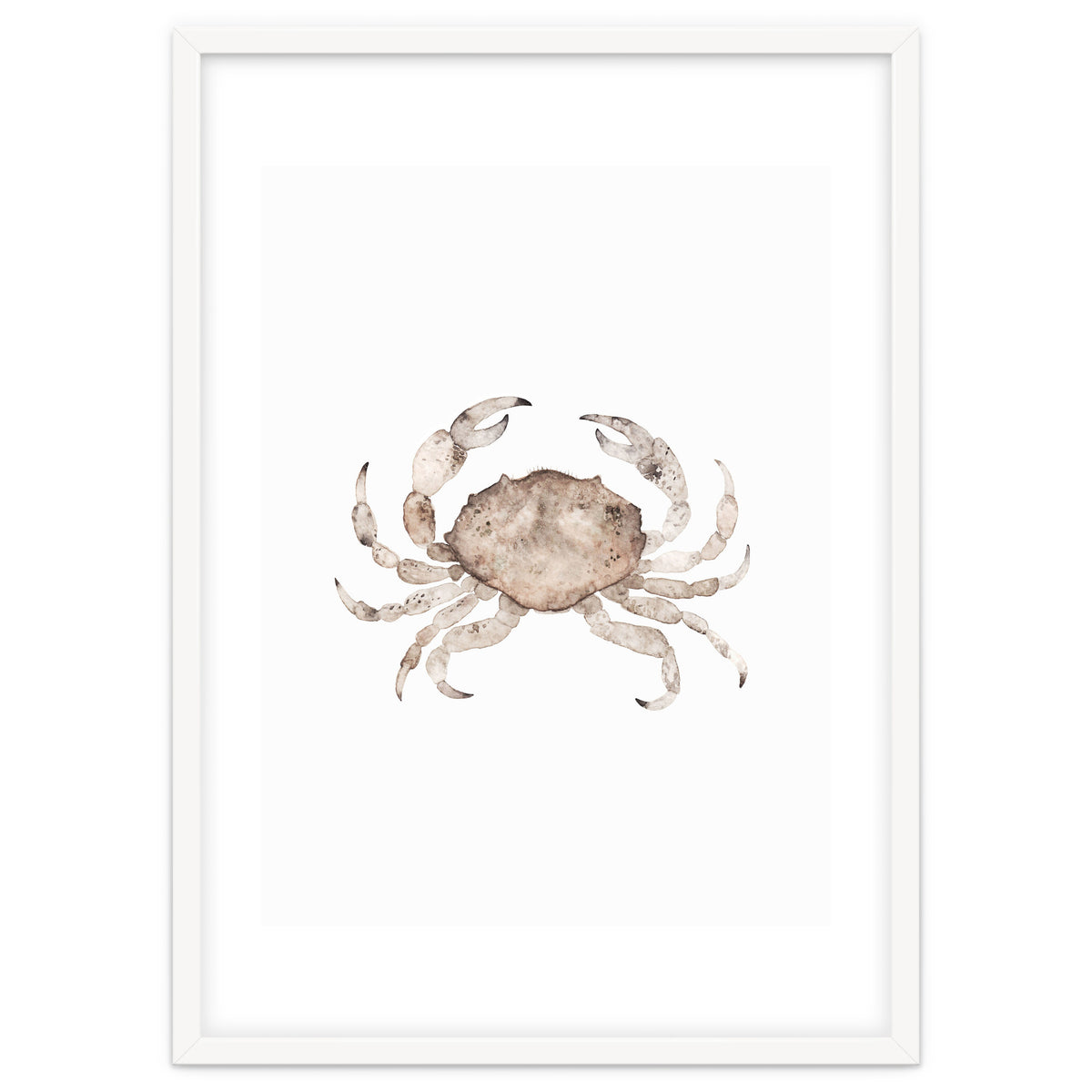 Crab