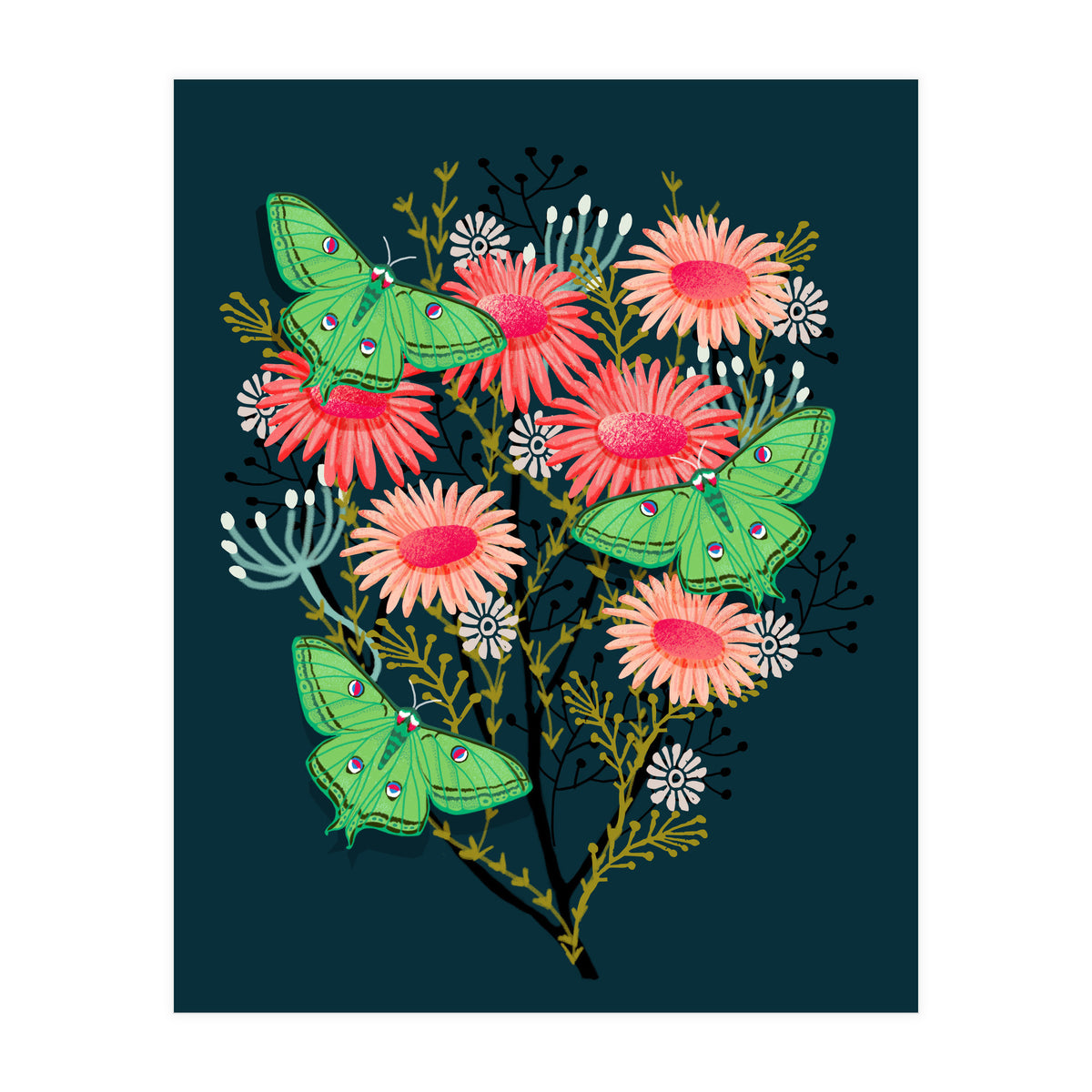 Luna Moth (Print Only)