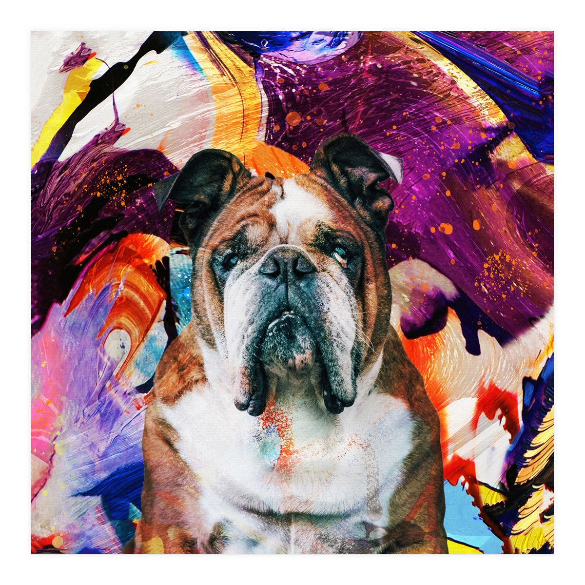 Zycko Color Dog 3 (Print Only)
