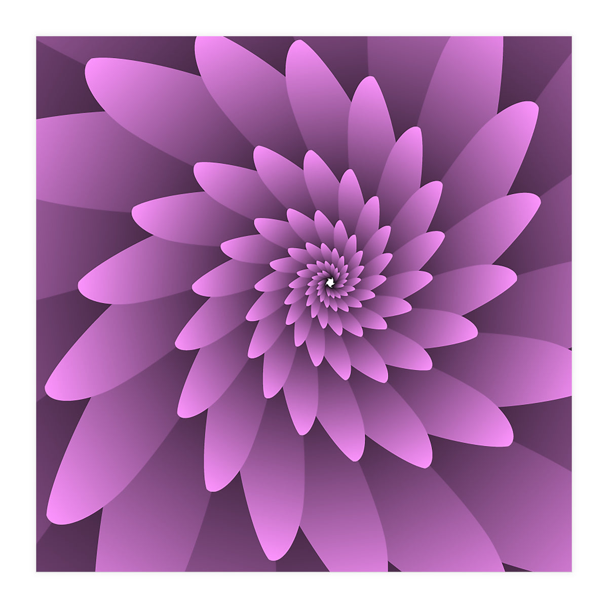 3 D Floral Modern Pink Art (Print Only)