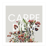 Carpe Diem (Print Only) thumbnail