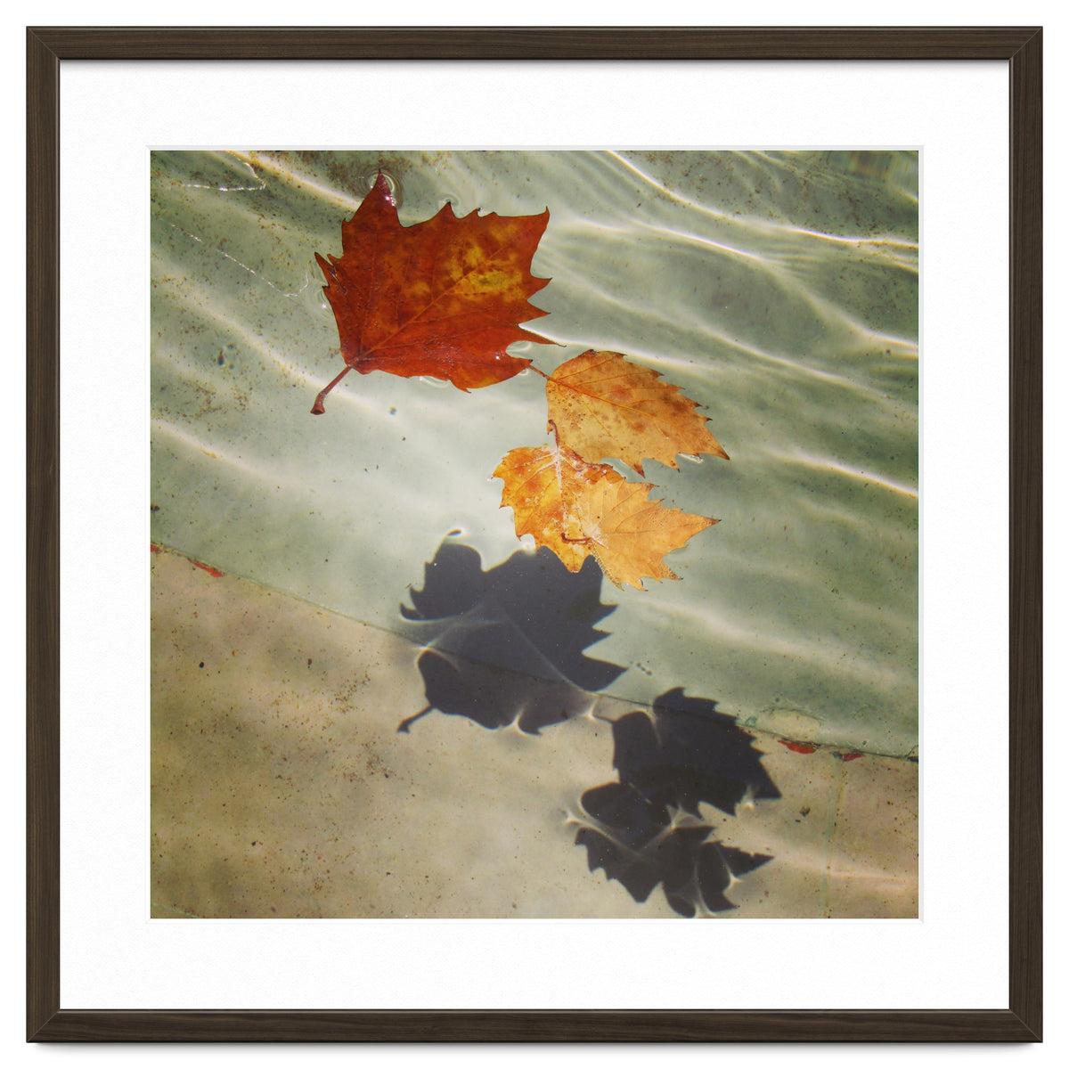 Floating leaves
